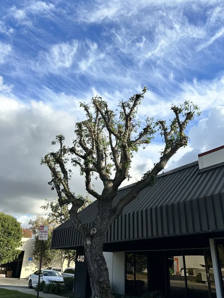 Reliable outdoor landscaping in La Habra, CA by Los Garcia’s Landscaping