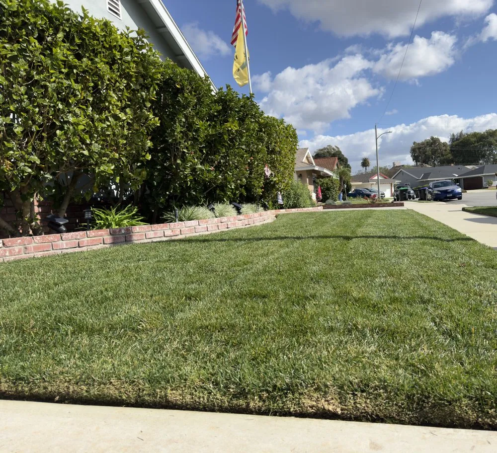 Expert yard maintenance for year-round maintenance across La Habra, CA - Los Garcia’s Landscaping
