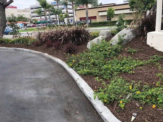 Custom landscape design for outdoor upgrades in Santa Ana, CA by Los Gatos