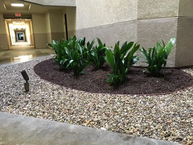 Professional landscape design in Santa Ana, CA by Los Gatos