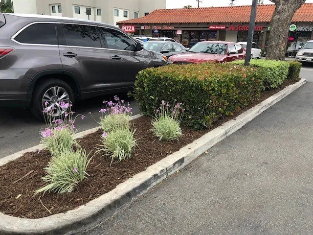 Reliable lawn mowing service in Santa Ana, CA by Los Gatos