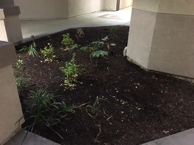 Local garden landscaping in Santa Ana, CA by Los Gatos