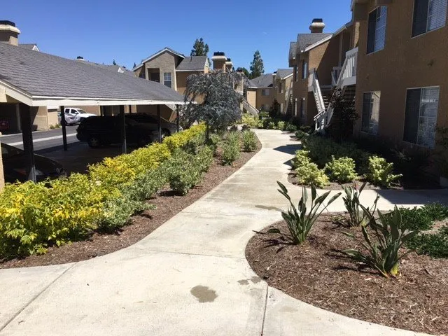 Reliable lawn mowing service in Santa Ana, CA - Los Gatos