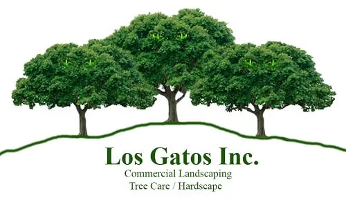 Top-rated garden landscaping experts serving Santa Ana, CA - Los Gatos