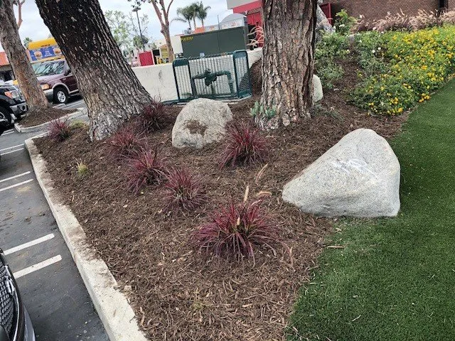 Professional outdoor landscaping for year-round maintenance in Santa Ana, CA by Los Gatos