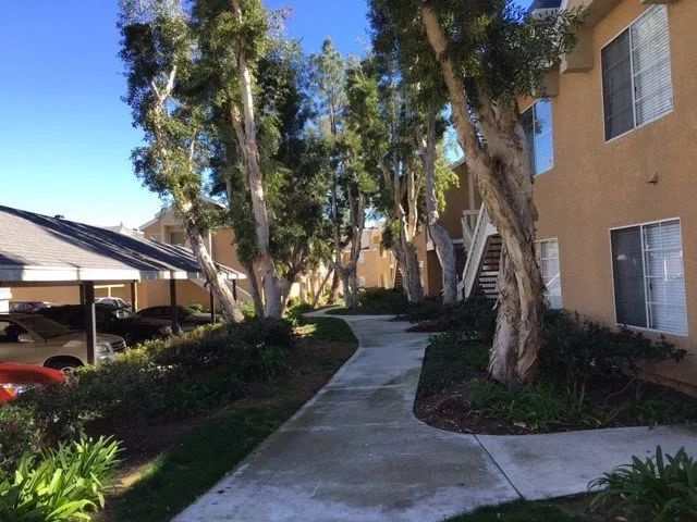 Affordable residential landscaping with custom design in Santa Ana, CA by Los Gatos