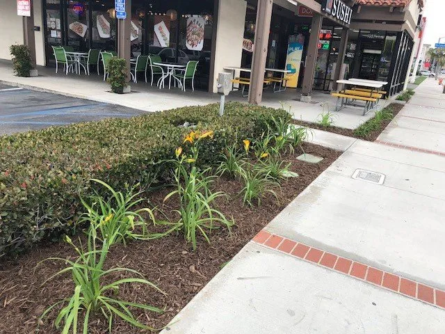 Trusted garden landscaping in Santa Ana, CA by Los Gatos