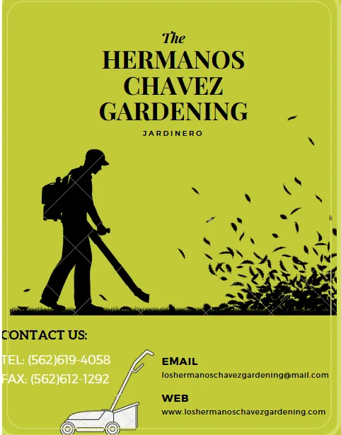 Trusted lawn care service experts serving Long Beach, CA - Los Hermanos Chavez Gardening