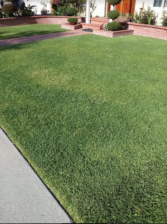 Expert landscape design for year-round maintenance across Long Beach, CA - Los Hermanos Chavez Gardening