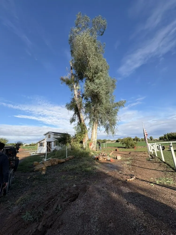 Affordable landscape design with custom design across Mesa, AZ - Los hermanos hardscape&construction
