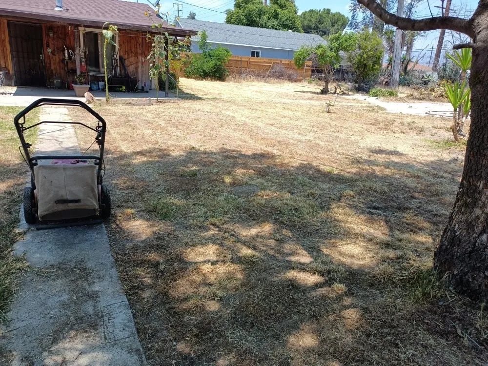 Reliable landscape design in Highland, CA - Los Hermanos Landscaping