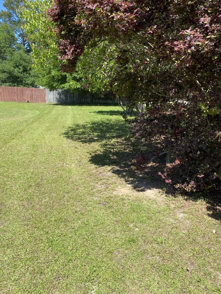 Reliable landscaping services near you in Savannah, GA by Los Hermanos Lawn Care