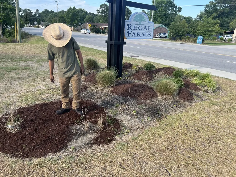 Affordable yard cleanup service for beautiful yards across Myrtle Beach, SC - Los Hermanos Maintenance