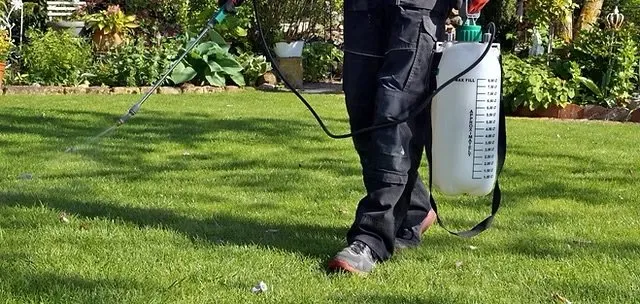 Local residential landscaping for residential properties across Myrtle Beach, SC - Los Hermanos Maintenance