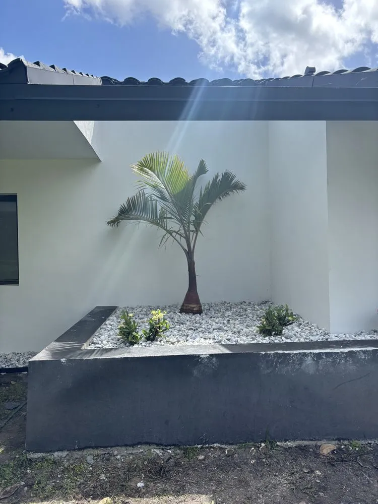Local landscape installation in Miami, FL - Los Hermanos Ponce