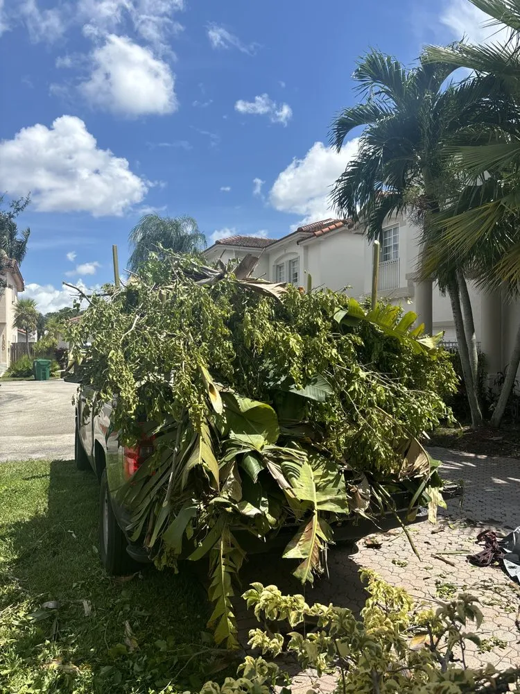 Expert outdoor landscaping with custom design in Miami, FL by Los Hermanos Ponce