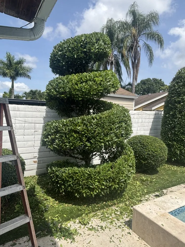 Professional landscape design in Miami, FL - Los Hermanos Ponce