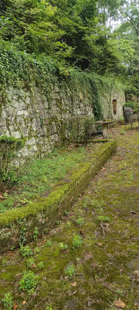 Professional outdoor landscaping in Roanoke, VA by Los Hernandez  Landscaping