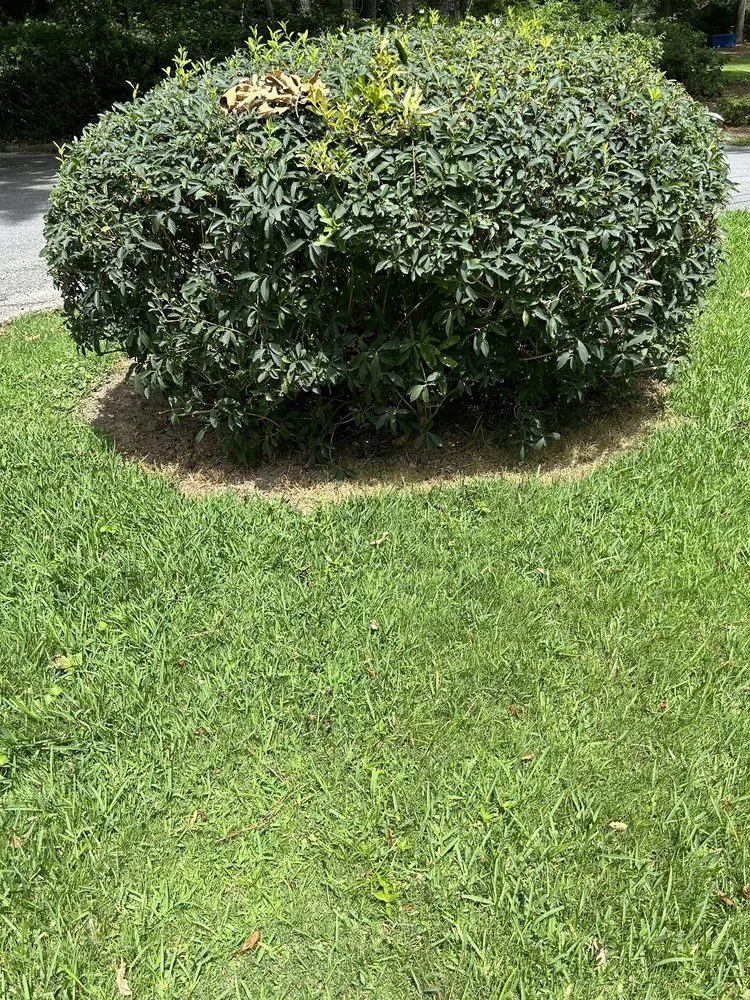 Professional outdoor landscaping in Lithia Springs, GA by Los Hombre Landscaping