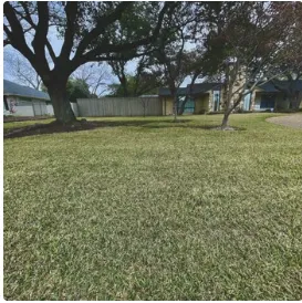 Affordable lawn care service in Midwest City, OK by Los Landscape