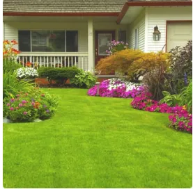 Local yard maintenance in Midwest City, OK by Los Landscape