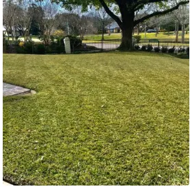 Top-rated yard maintenance experts serving Midwest City, OK - Los Landscape