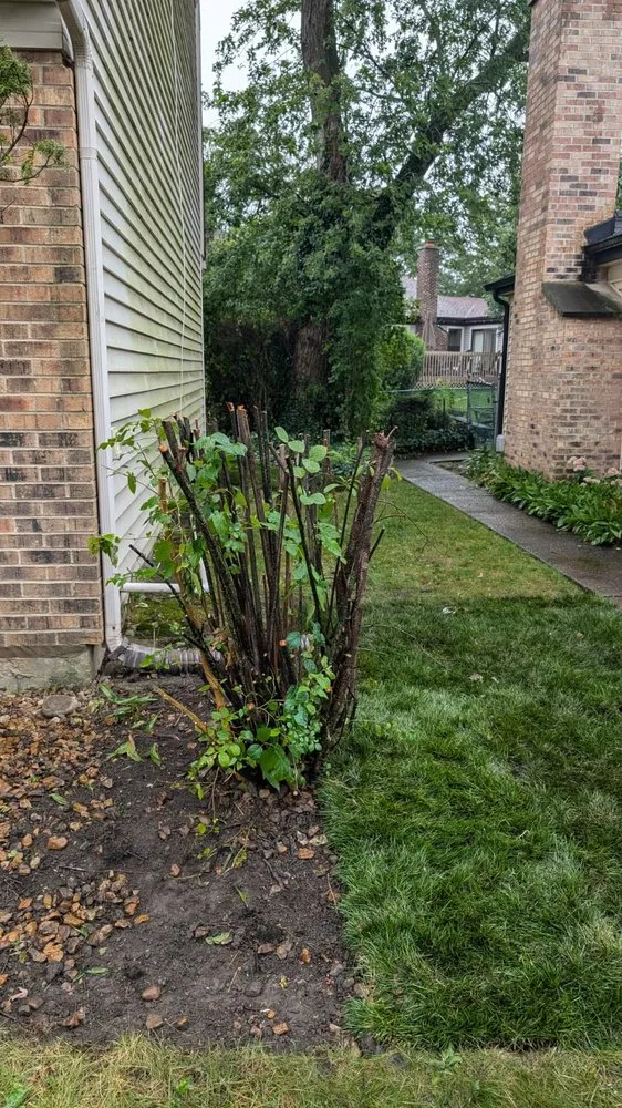 Expert lawn care service for outdoor upgrades in Waukegan, IL by Los Landscaping