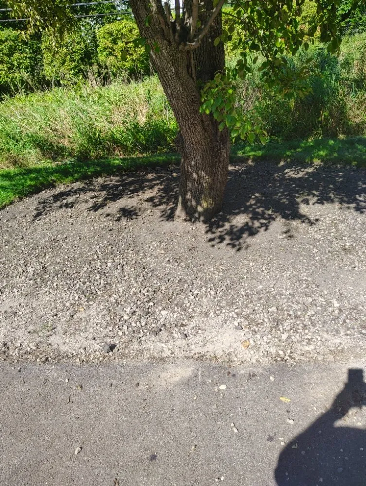 Trusted lawn mowing service with custom design in Waukegan, IL by Los Landscaping