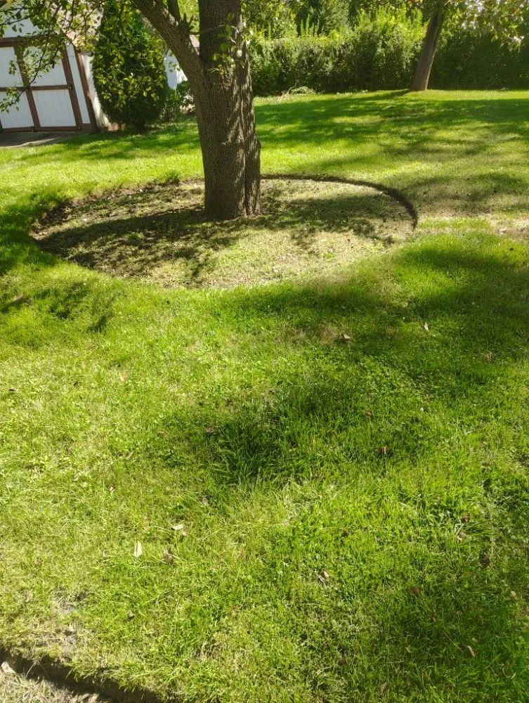 Local lawn mowing service in Waukegan, IL by Los Landscaping