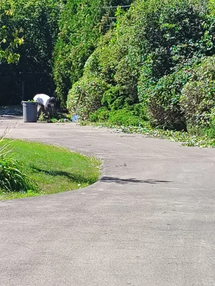 Reliable yard cleanup service for beautiful yards in Waukegan, IL by Los Landscaping