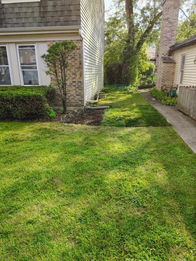 Local landscape design in Waukegan, IL - Los Landscaping