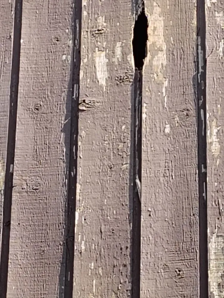 Expert landscape design for residential properties across Waukegan, IL - Los Landscaping