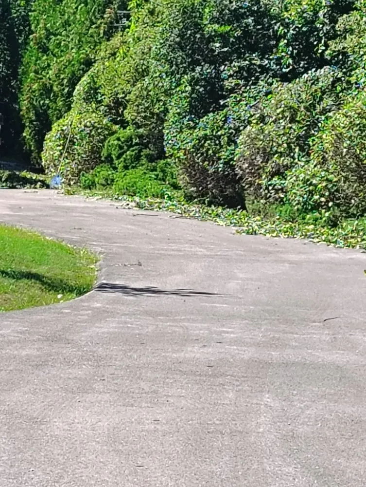 Professional landscaping services for beautiful yards in Waukegan, IL by Los Landscaping