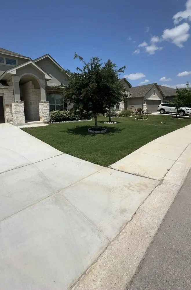 Expert yard cleanup service in San Antonio, TX - Los Lawn Guys