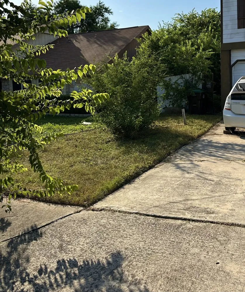 Professional lawn care service in San Antonio, TX - Los Lawn Guys