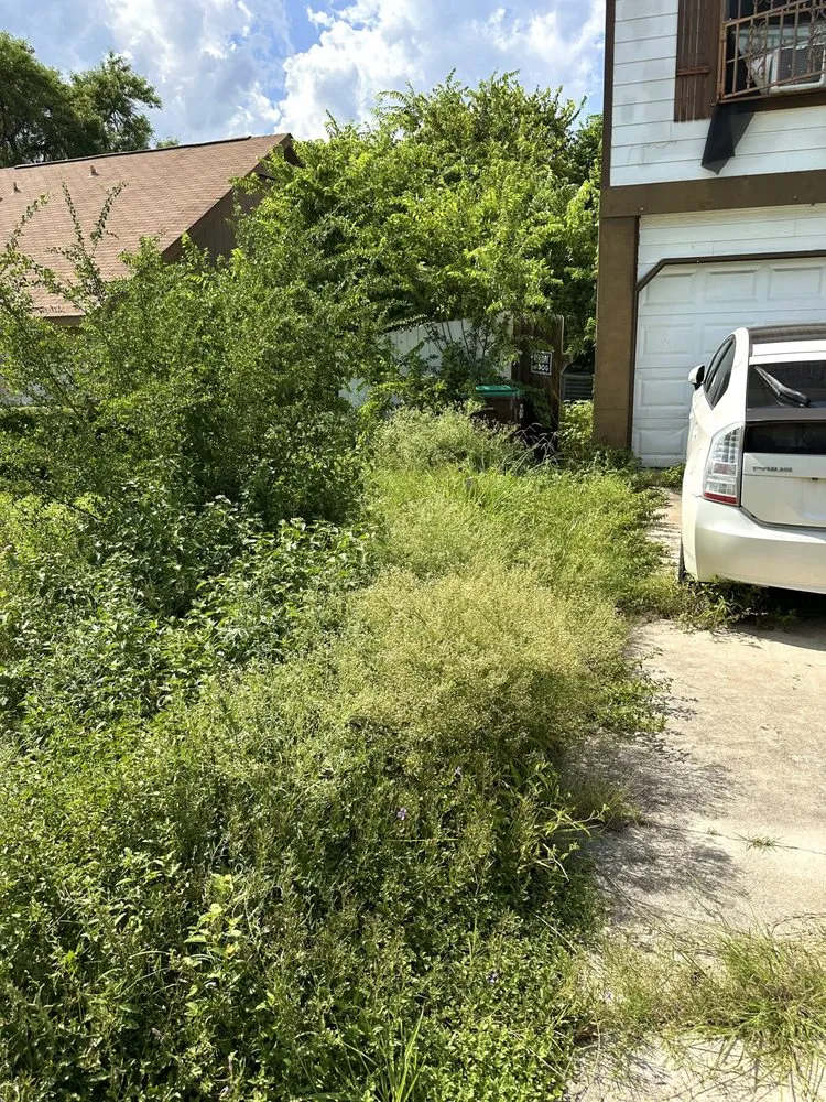 Trusted garden landscaping for year-round maintenance in San Antonio, TX by Los Lawn Guys