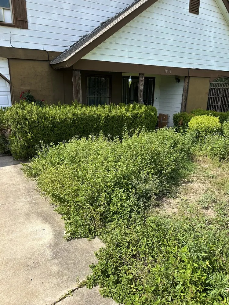 Local lawn care service experts serving San Antonio, TX - Los Lawn Guys