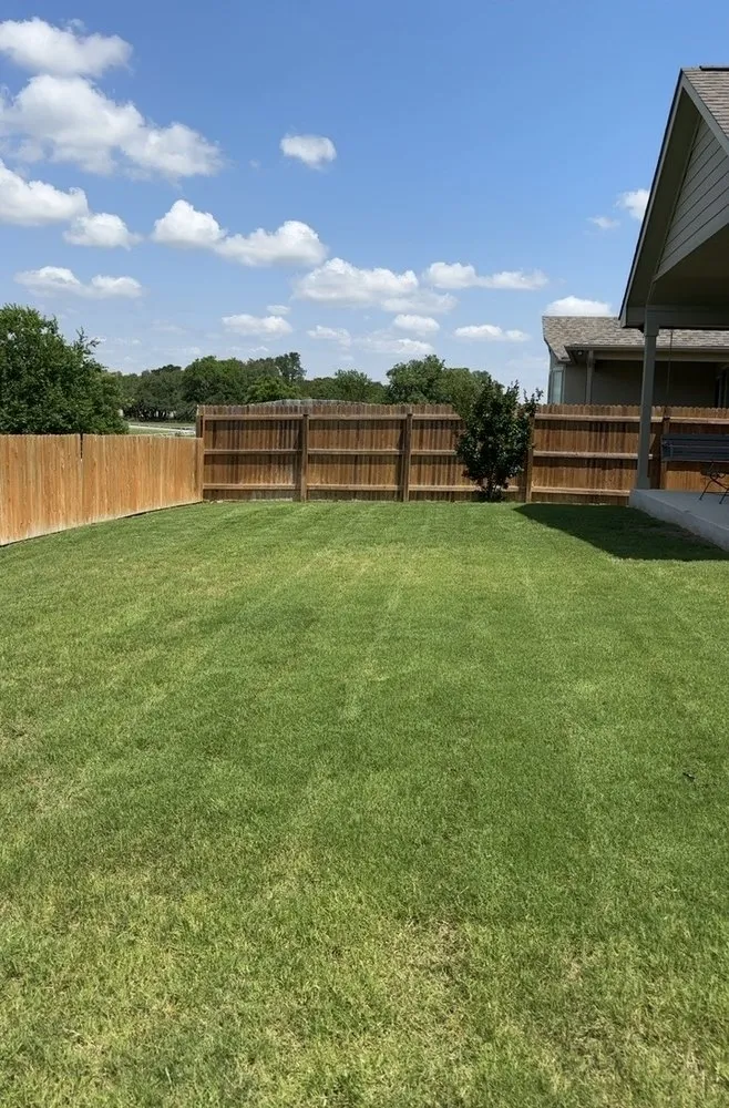 Custom yard cleanup service in San Antonio, TX - Los Lawn Guys
