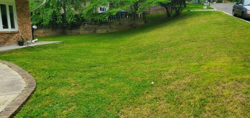 Expert residential landscaping in Fort Washington, MD by Los Lopez Landscaping