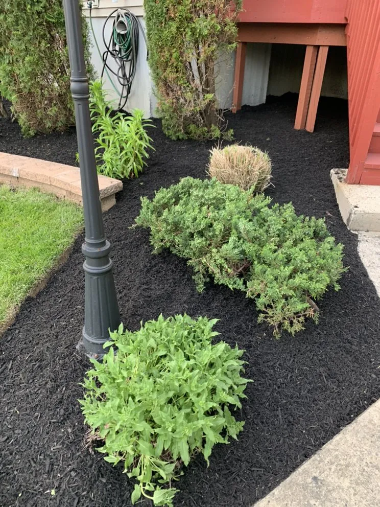 Affordable garden landscaping in Cherry Hill, NJ - Los Mendez Landscaping