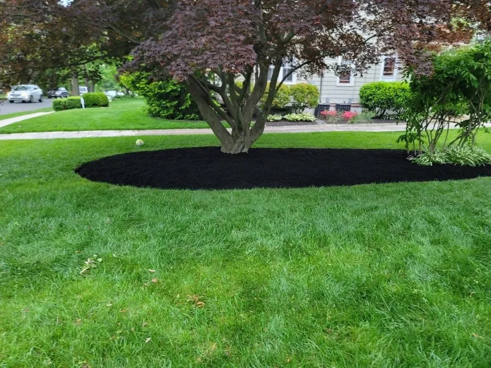Professional garden landscaping in Cherry Hill, NJ - Los Mendez Landscaping