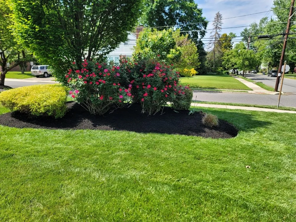 Local yard cleanup service in Cherry Hill, NJ by Los Mendez Landscaping
