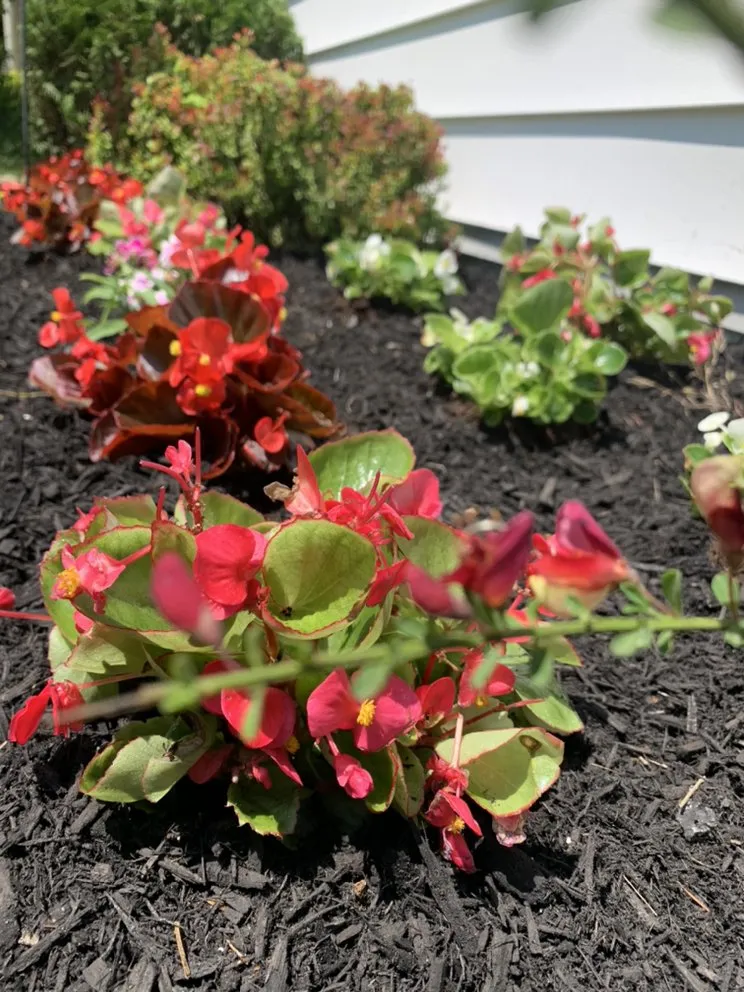 Affordable residential landscaping in Cherry Hill, NJ by Los Mendez Landscaping