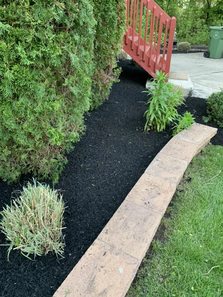 Professional lawn care service for beautiful yards in Cherry Hill, NJ by Los Mendez Landscaping