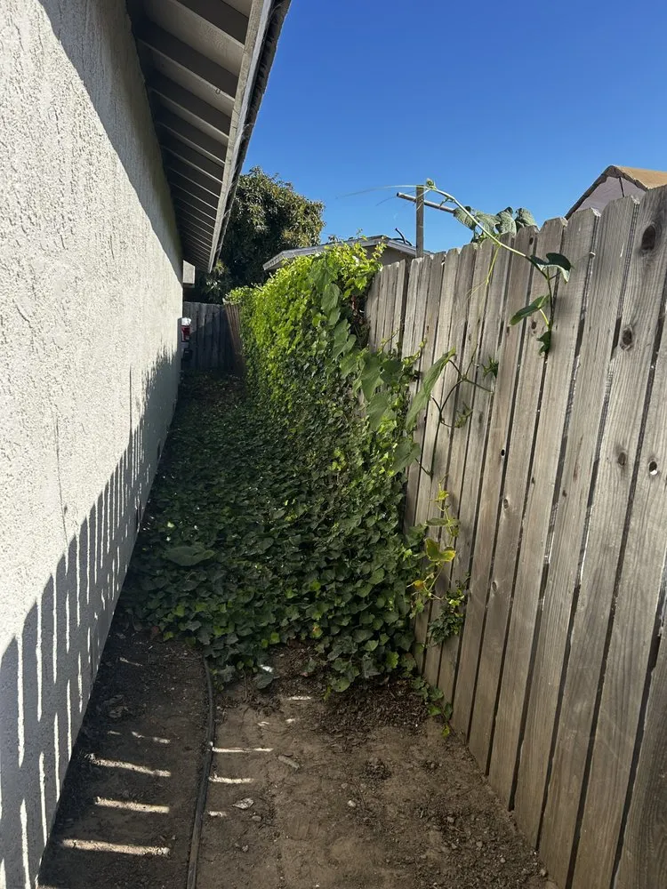 Professional garden landscaping in Oxnard, CA by Los Olivos Landscape Construction