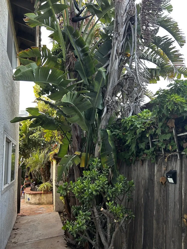 Top-rated landscaping services experts serving Oxnard, CA - Los Olivos Landscape Construction