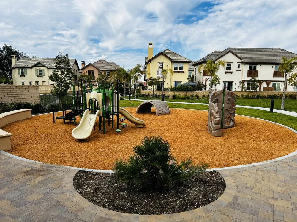 Professional yard cleanup service in Oxnard, CA - Los Olivos Landscape Construction