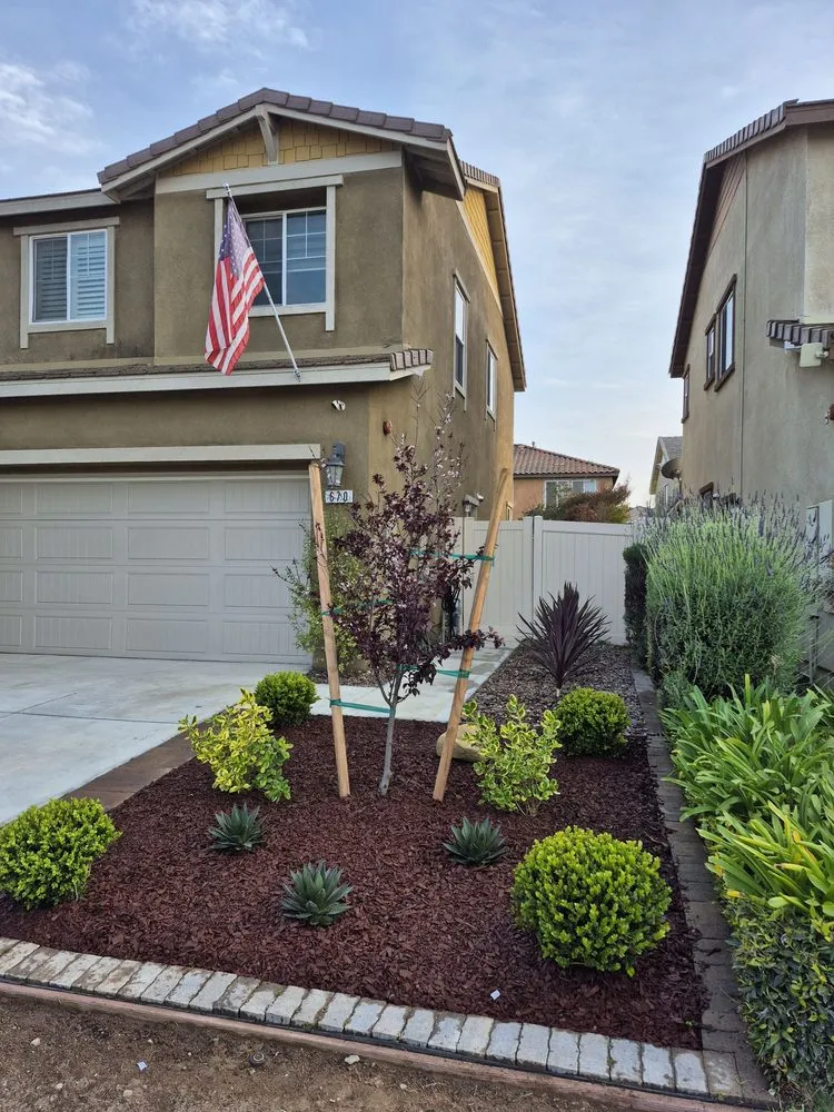 Reliable lawn mowing service experts serving Oxnard, CA - Los Olivos Landscape Construction