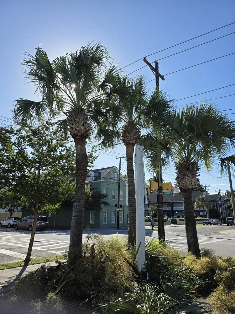 Affordable yard maintenance for year-round maintenance in Johns Island, SC by Los Palm Services