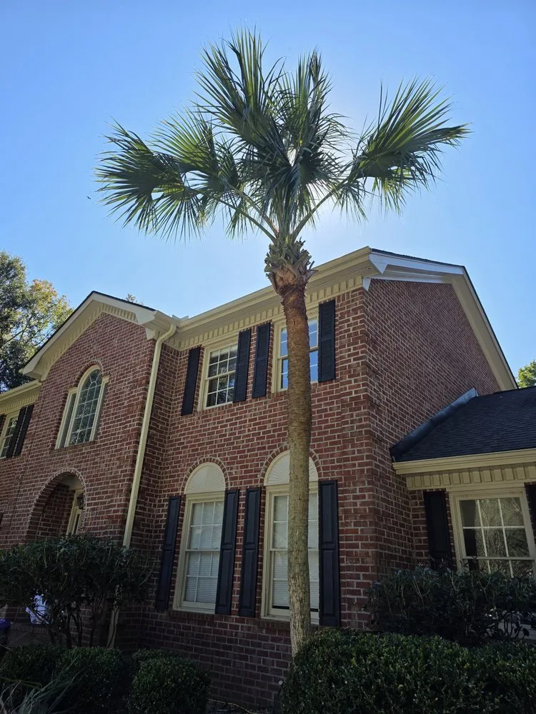 Reliable lawn mowing service in Johns Island, SC by Los Palm Services